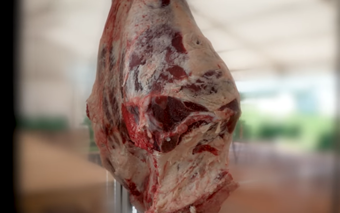 Interested in butchering your own beef, pork or lamb?