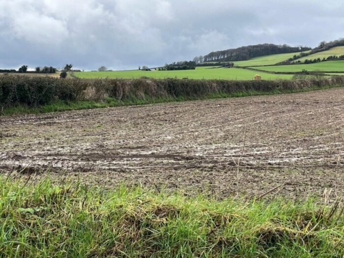 This season isn’t about who gets out first, it’s about who gets it right