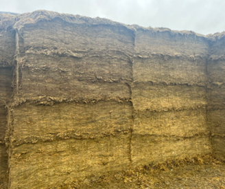 An open clean faced silage pit