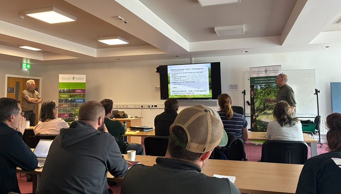 Attendees listening to a talk at the hedgerow event