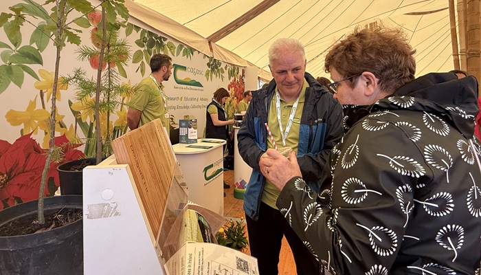 Trees and forests in our lives at Bloom 2026