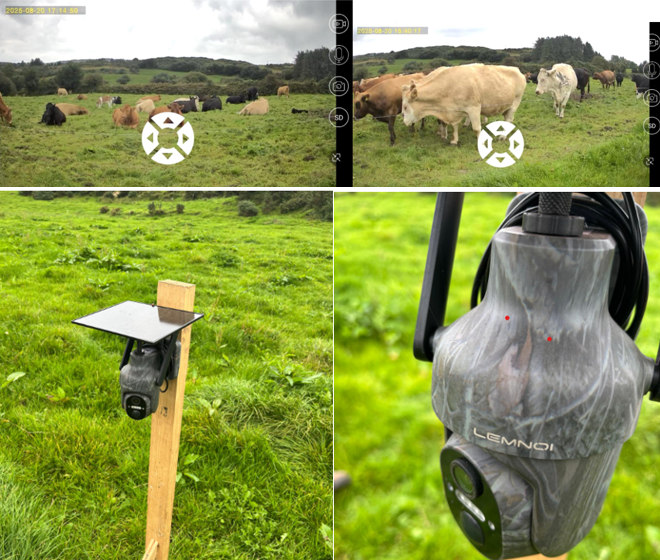 Four images: first two images are screen shots of the recording screen from the app. Second two images are pictures of the cameras present in the field