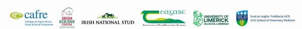 ECHO partner logos