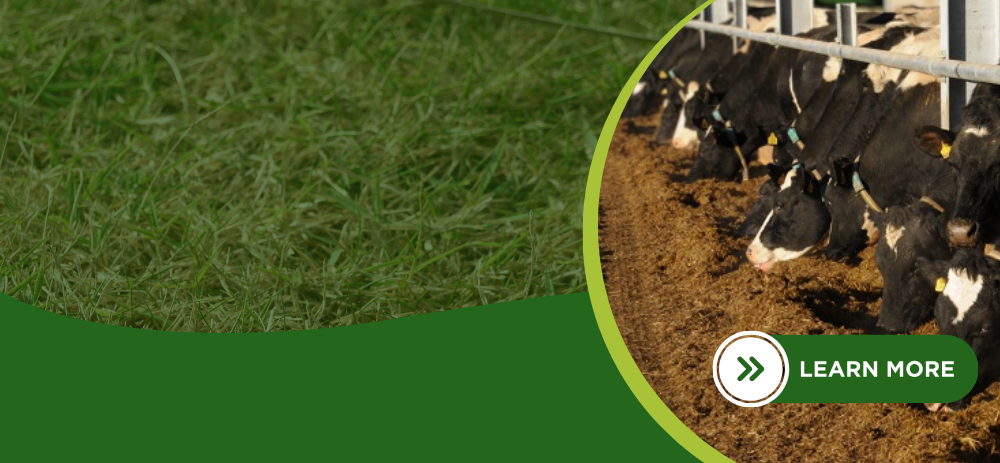 Teagasc Fodder Clinics