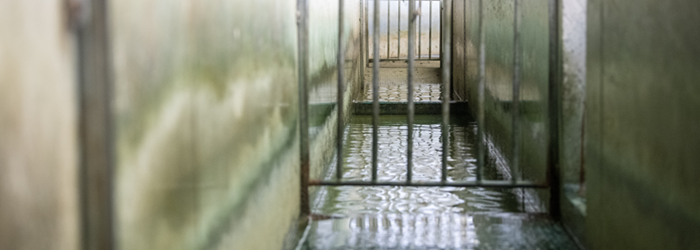 A footbath in Athenry