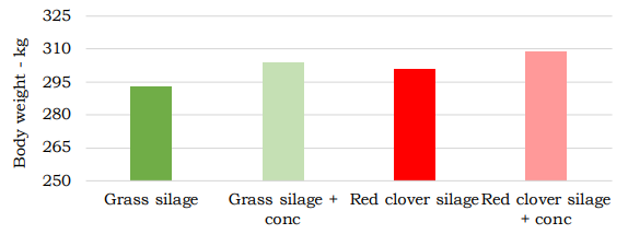A graph showing that heifers offered red clover silage only achieved similar weight gains to those offered grass silage and concentrates