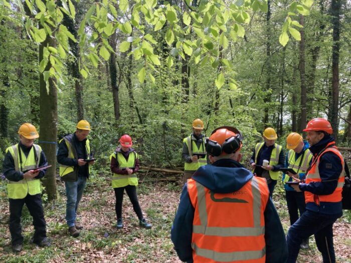 Cover image for Looking to the New Year and our forestry events plan for 2026 article