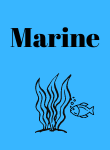 Marine Resources