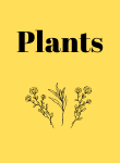 Plants resources