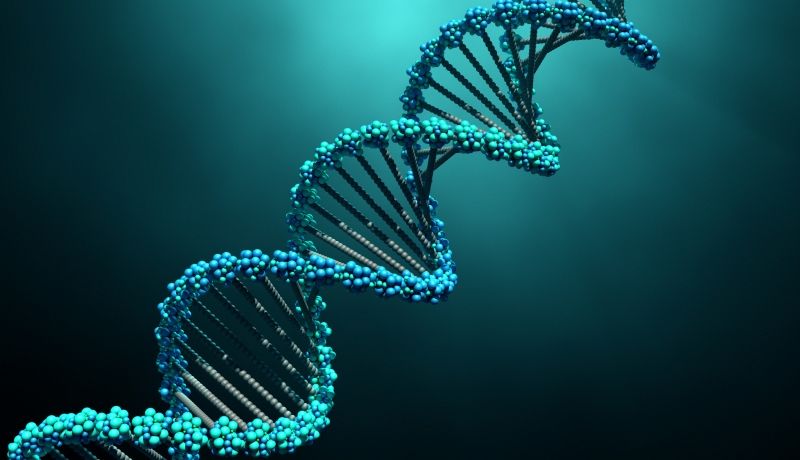 Research Impact Highlights 2018