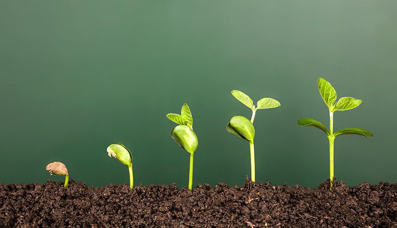 Research Impact Highlights