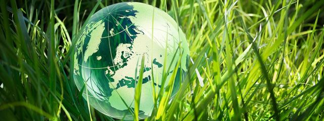 Research Impact Highlights