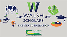 Walsh Scholars The Next Generation
