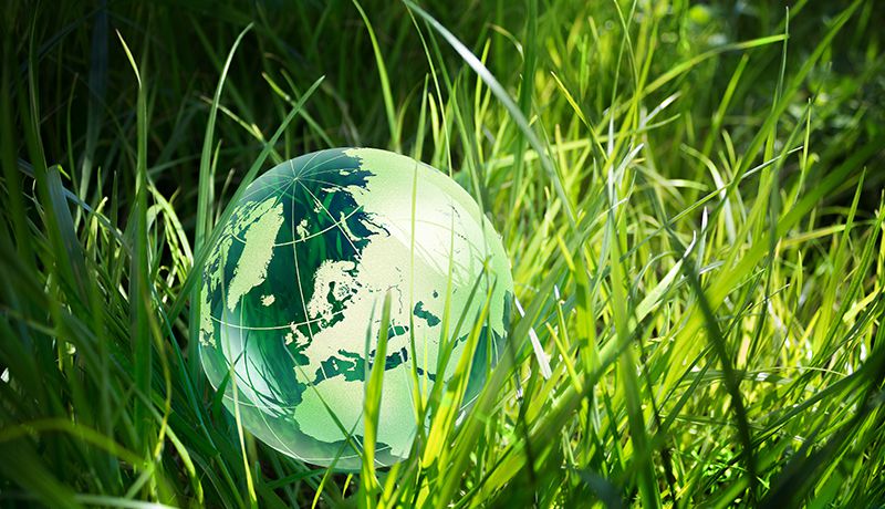 Research Impact Highlights