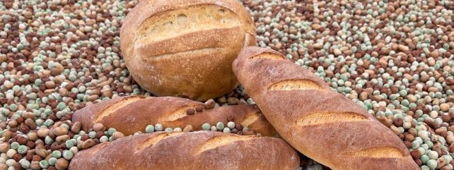 Novel Food and Beverage Ingredients and Products