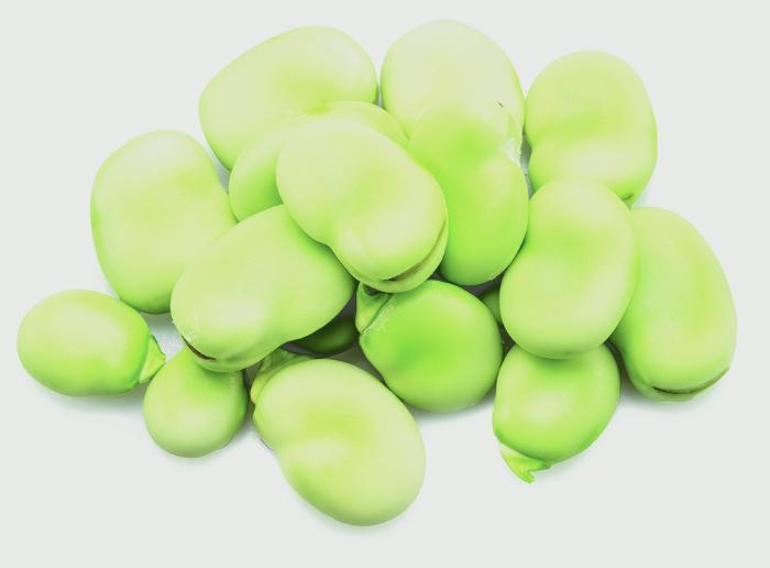 An image of fava beans