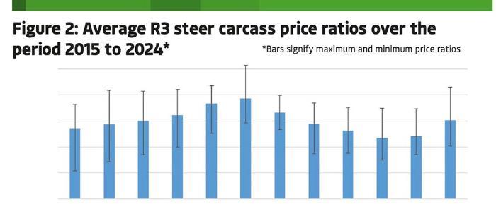 A graphic showing average R3 steer carcass price ratios over the period 2015 to 2024*