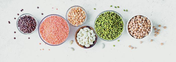 Different types of seeds arranged in bowls