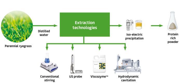 Extraction technologies for protein recovery from perennial ryegrass