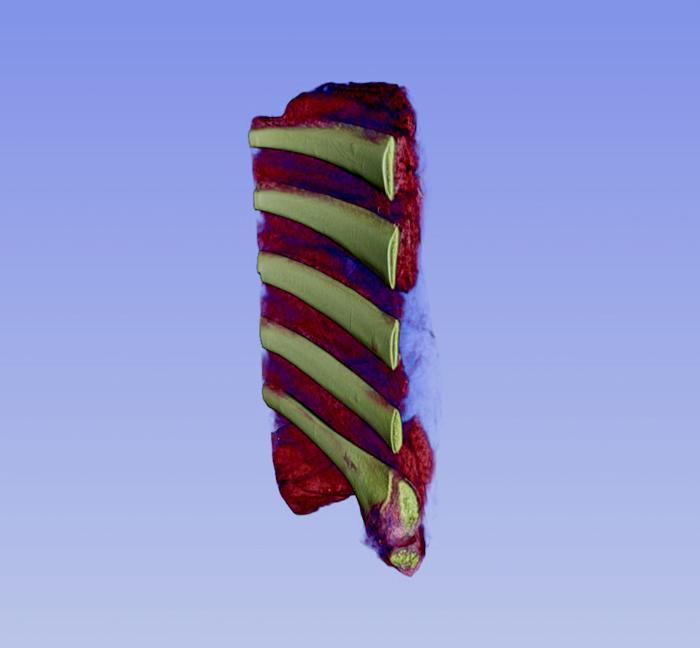 X-ray computed tomography-based reconstruction provides ground truth information on tissue structure in beef rib