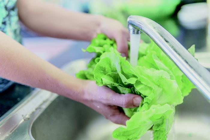 A close up image of a person rinsing a bunch of leafy green vegetables under a tap