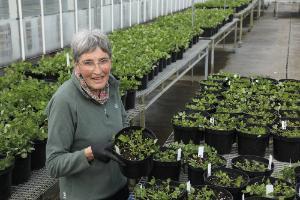 Research Impact Highlights 2023