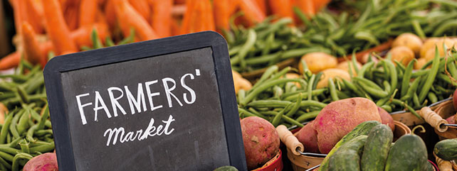 Food - industry development and safety
