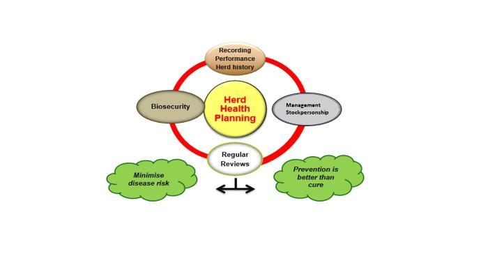 Herd health planning should include recording performance, biosecurity and regular reviews to minimise disease risk, prevention is better than cure
