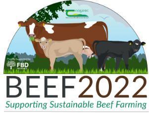 Ballyvadin dairy calf-to-beef demonstration farm