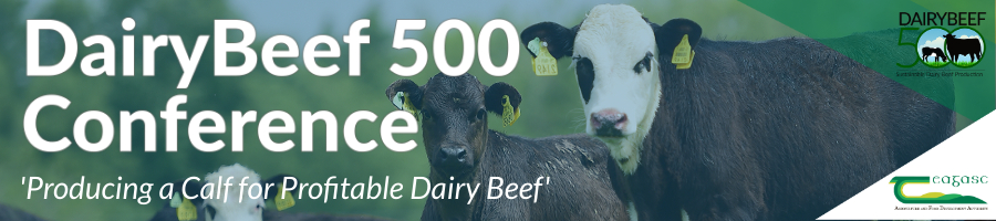 Details of DairyBeef 500 Spring Conference