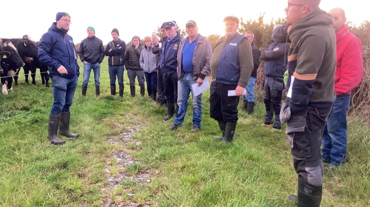 Farmers attending a discussion group meeting as part of the DairyBeef 500 Campaign
