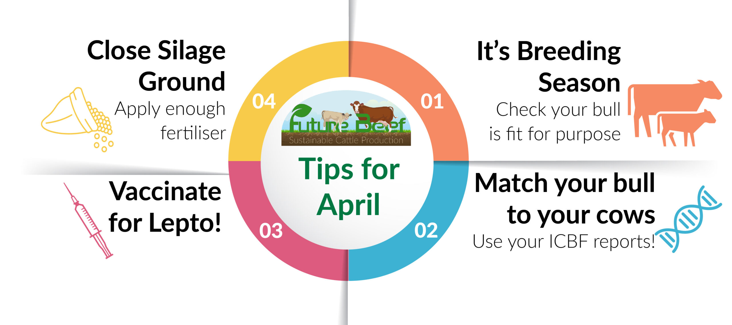 Top Tips for April