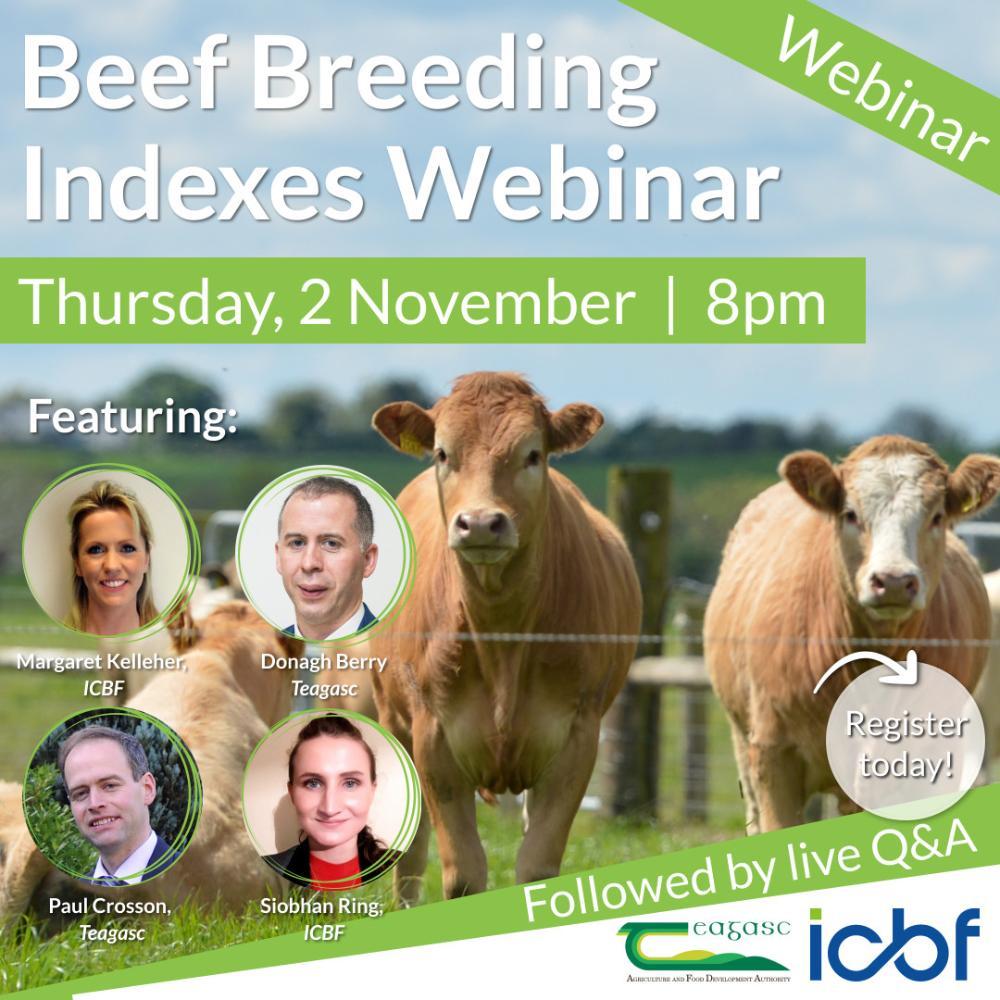 Beef Breeding Indexes Webinar