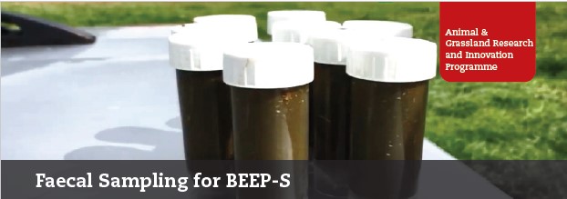BEEP-S Faecal Sampling Pic