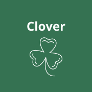 Red clover mix has been sown