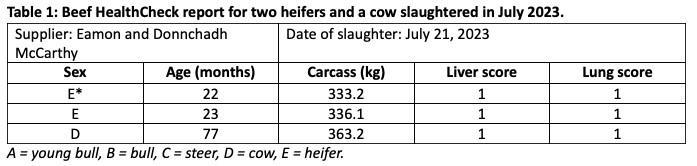 Beef healthcheck information