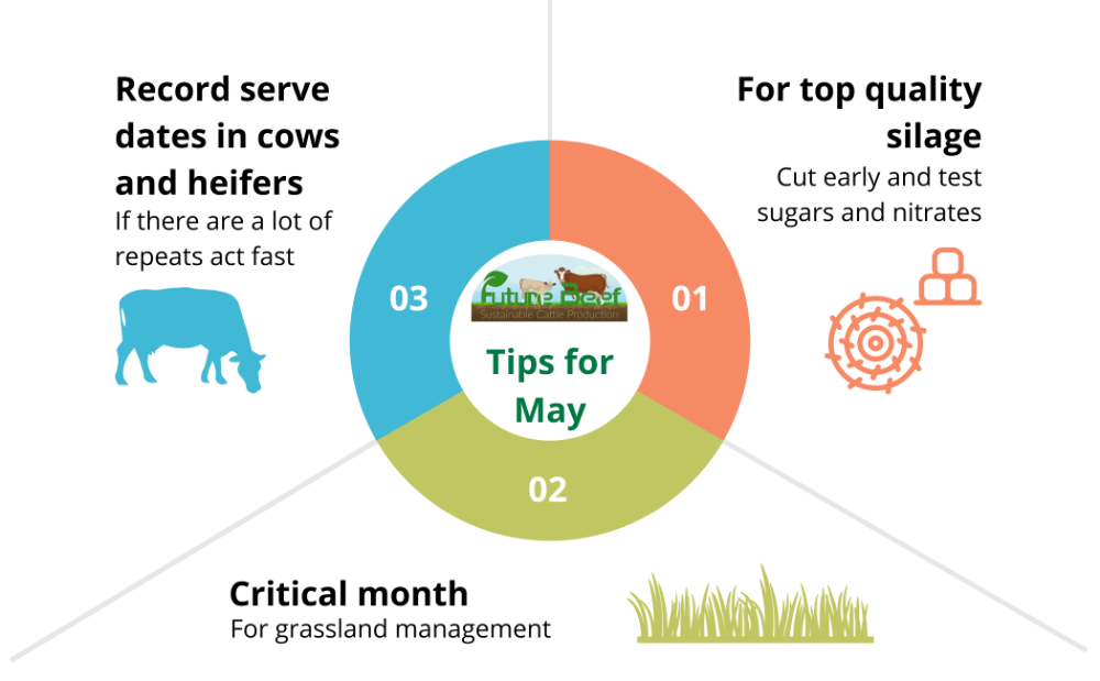 Top Tips for May