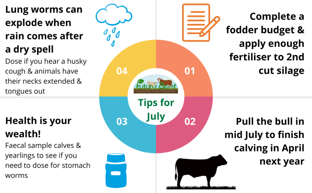 Top Tips for July