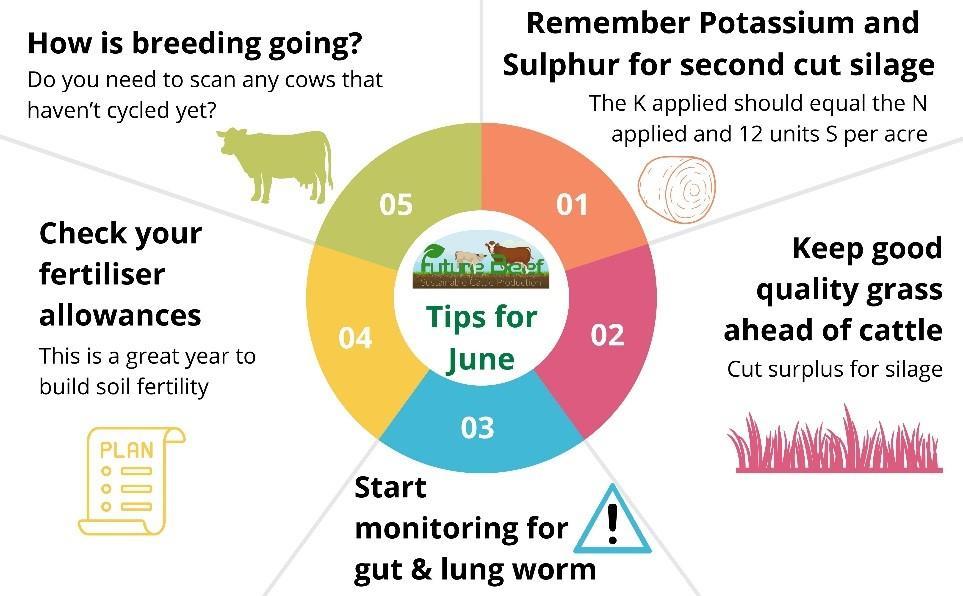 Top tips for June 2025