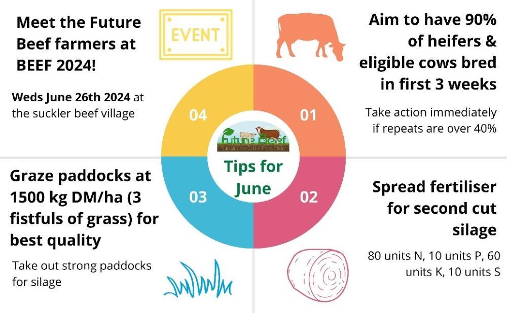 Top Tips June 2024