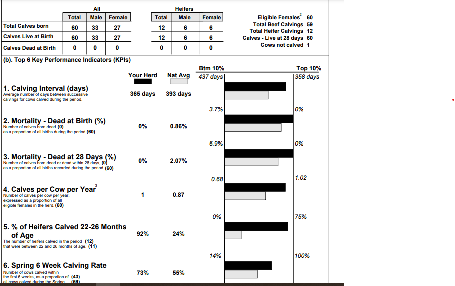 2023 calving report for Kildalton suckler herd