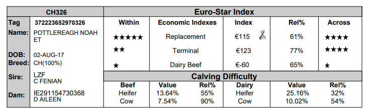 Eurostar report for stock bull in Kildalton