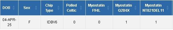 Myostatin info on ICBF