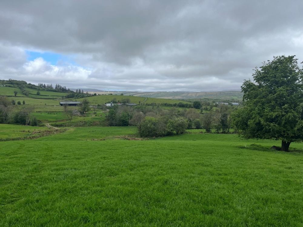 Grass field overlooking the farm