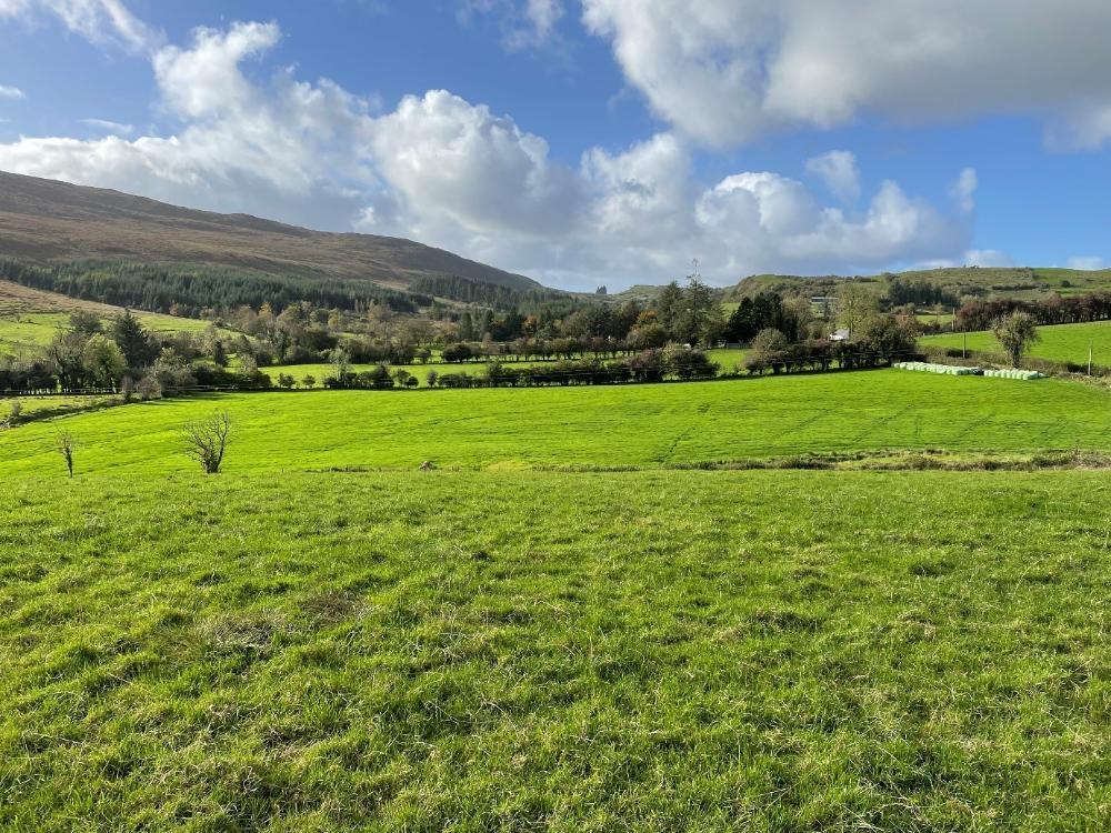 Farm photo