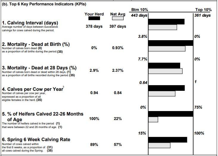 Calving report from ICBF