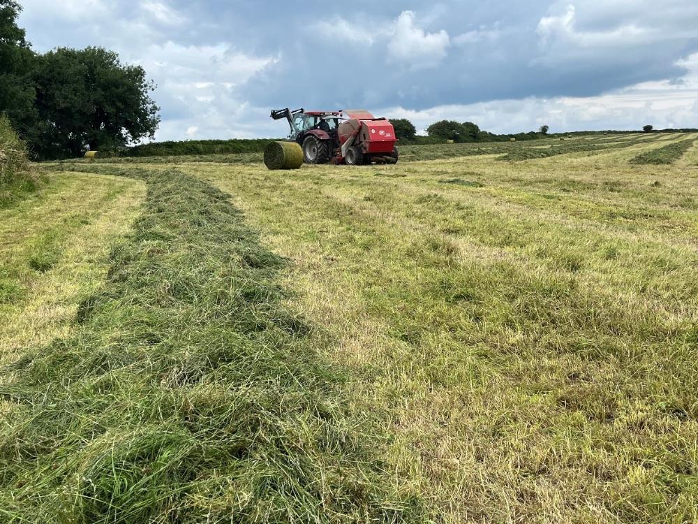 Silage being baled