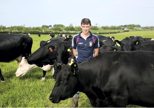 Stephen Frend with the cows at Newford