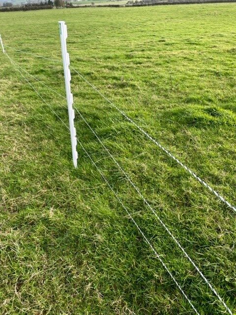 temporary sheep wire fence olivia Hynes