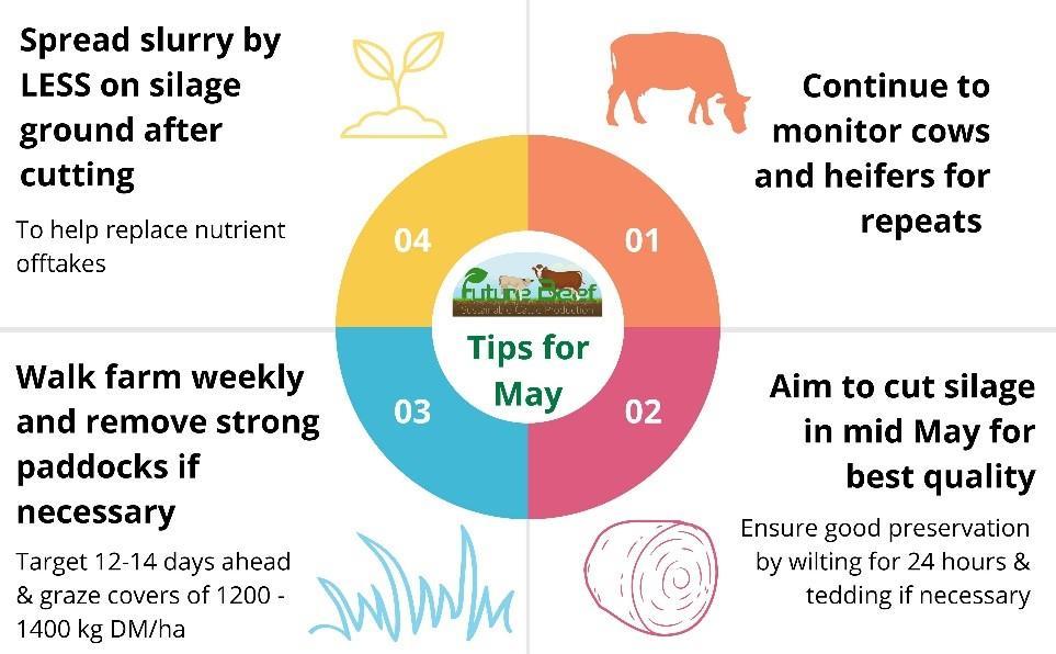 Top tips for May 2025